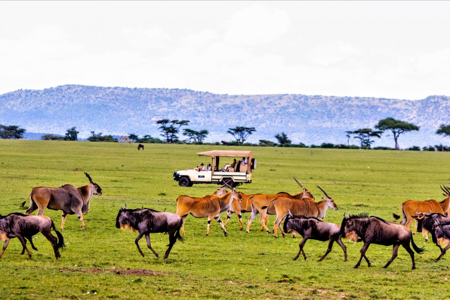 Masai Mara